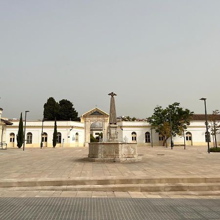 Brand New Studio With Terrace And Bbq Close To City Center Malaga Exterior photo